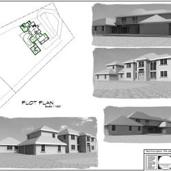 prelima4