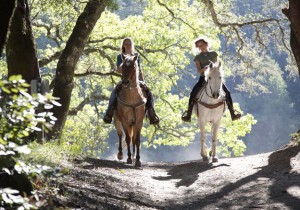 trail riding